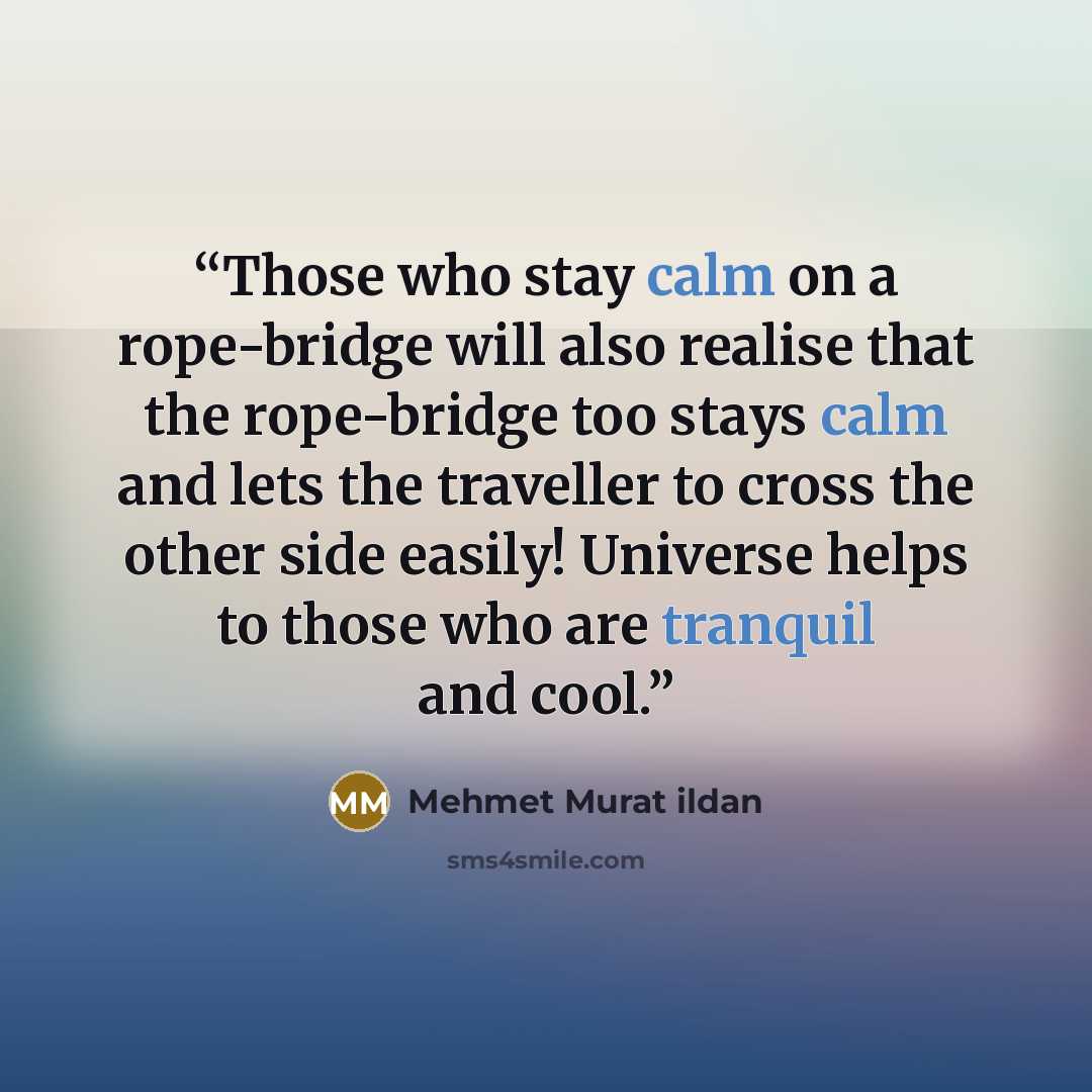 “Those who stay calm on a rope-bridge will also realise that the rope-bridge too stays calm and lets the traveller to cross the other side easily! Universe helps to those who are tranquil and cool.” quote by Mehmet Murat ildan