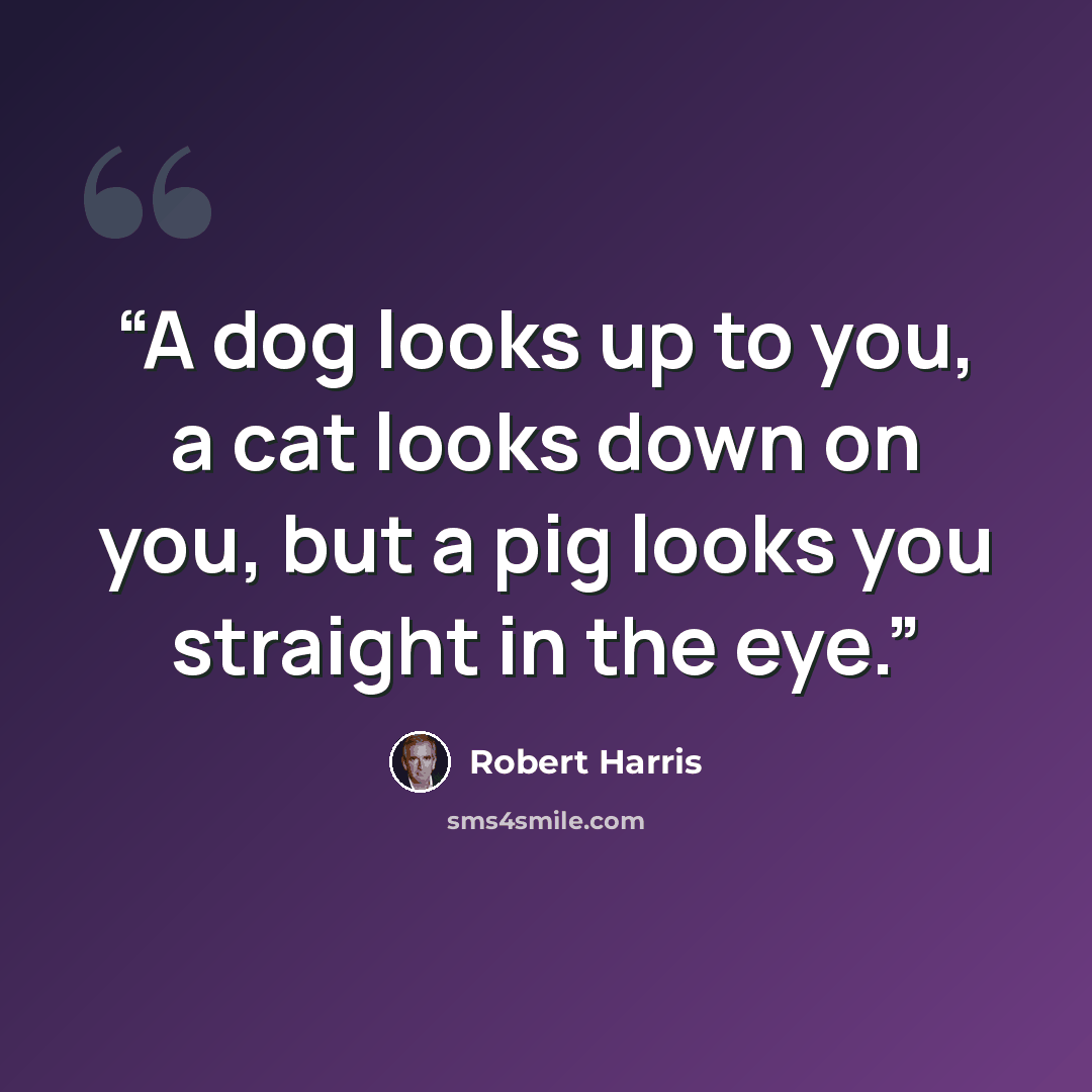 “A dog looks up to you, a cat looks down on you, but a pig looks you straight in the eye.” quote by Robert Harris