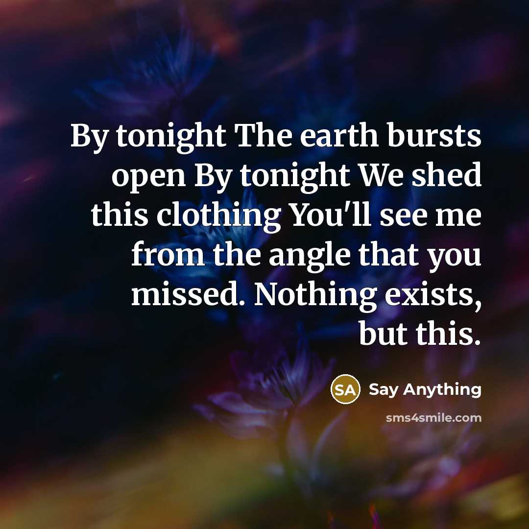 “By tonight The earth bursts open By tonight We shed this clothing You'll see me from the angle that you missed. Nothing exists, but this.” quote by Say Anything
