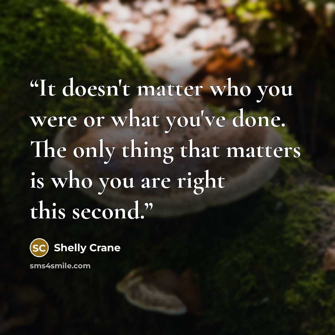 “It doesn't matter who you were or what you've done. The only thing that matters is who you are right this second.” quote by Shelly Crane