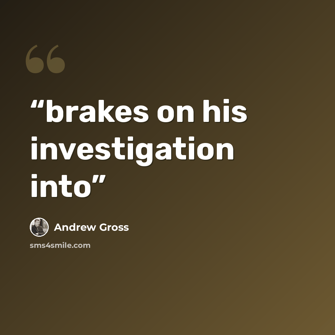 “brakes on his investigation into” quote by Andrew Gross