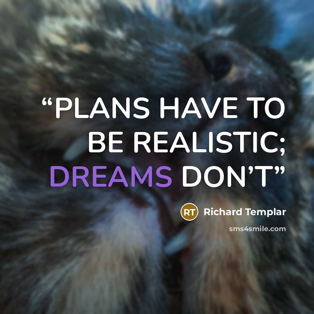 “PLANS HAVE TO BE REALISTIC; DREAMS DON’T” quote by Richard Templar