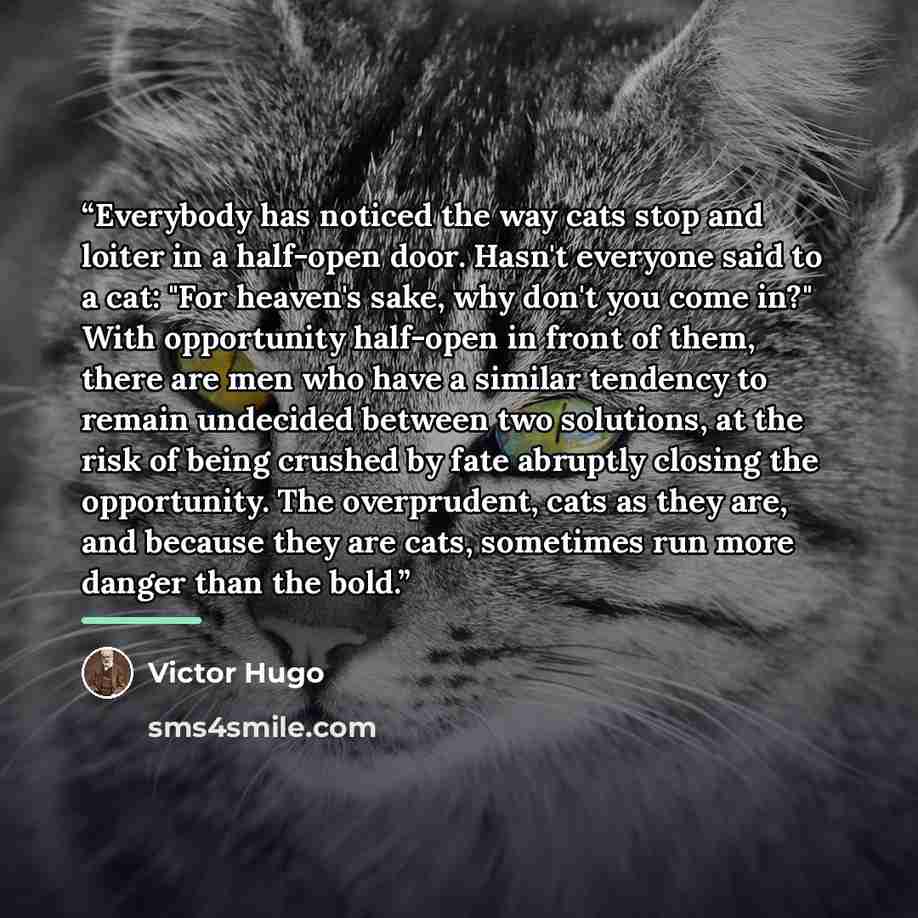 “Everybody has noticed the way cats stop and loiter in a half-open door. Hasn't everyone said to a cat: "For heaven's sake, why don't you come in?" With opportunity half-open in front of them, there are men who have a similar tendency to remain undecided between two solutions, at the risk of being…” quote by Victor Hugo