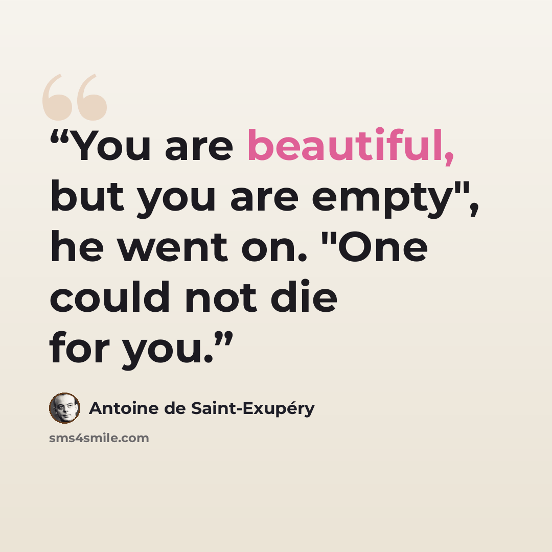 “You are beautiful, but you are empty", he went on. "One could not die for you.” quote by Antoine de Saint-Exupéry