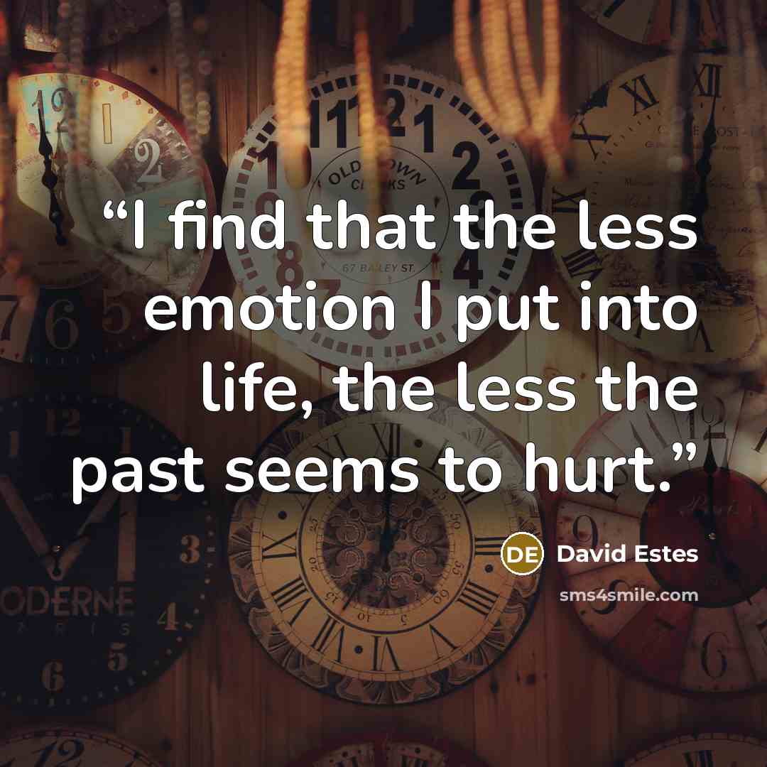“I find that the less emotion I put into life, the less the past seems to hurt.” quote by David Estes