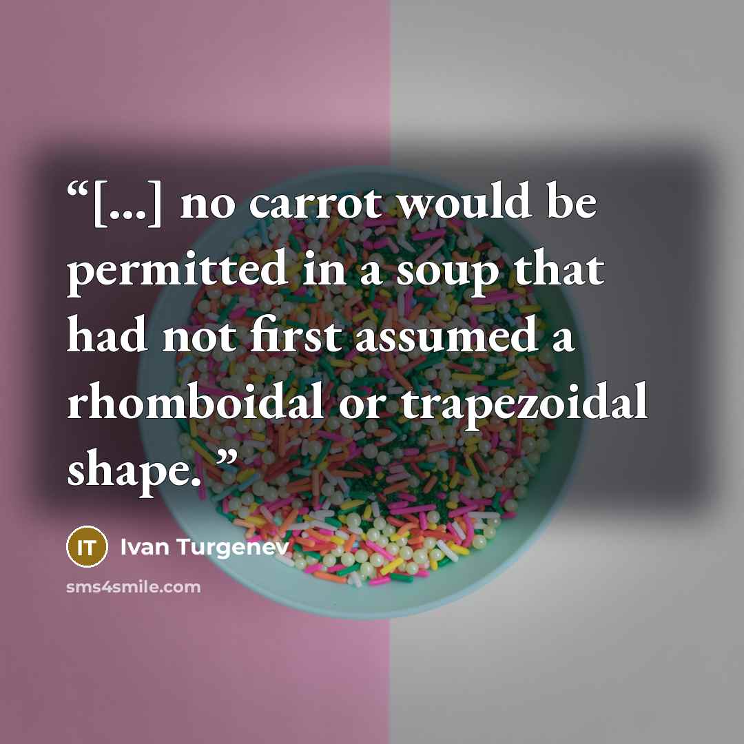 “[...] no carrot would be permitted in a soup that had not first assumed a rhomboidal or trapezoidal shape.” quote by Ivan Turgenev