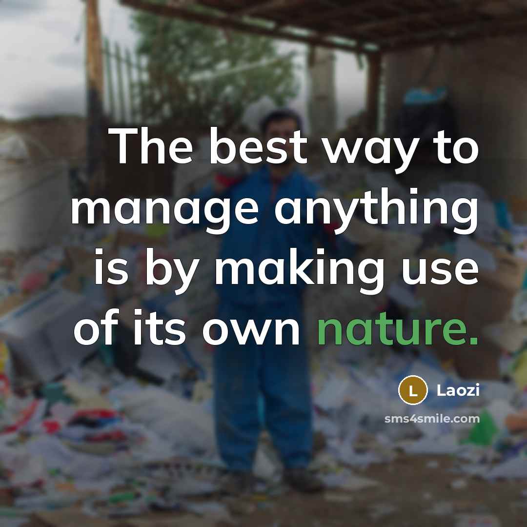“The best way to manage anything is by making use of its own nature.” quote by Laozi