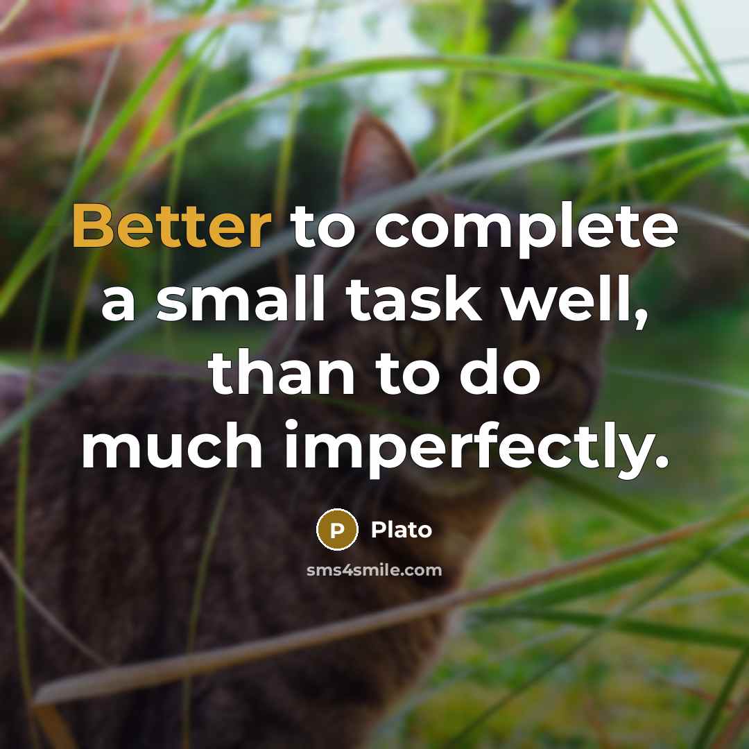 “Better to complete a small task well, than to do much imperfectly.” quote by Plato