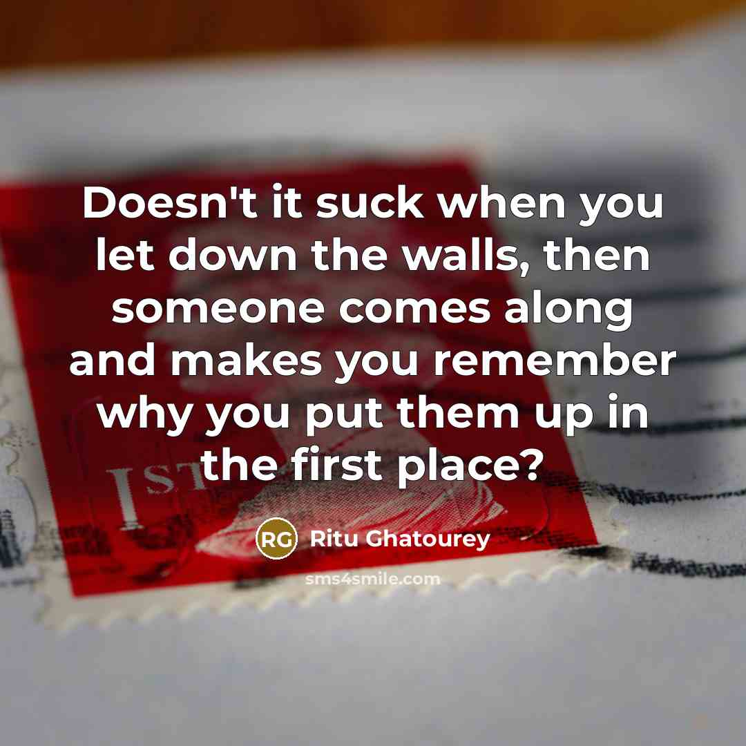 “Doesn't it suck when you let down the walls, then someone comes along and makes you remember why you put them up in the first place?” quote by Ritu Ghatourey