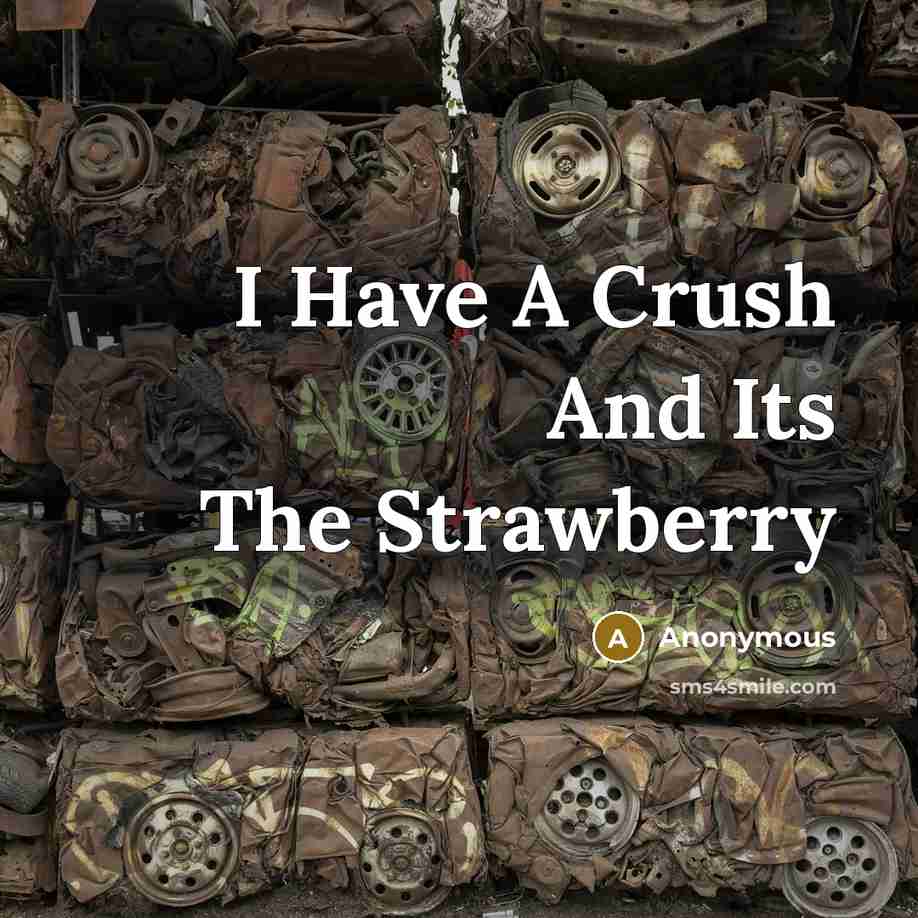 “I Have A Crush And Its The Strawberry” quote by Anonymous