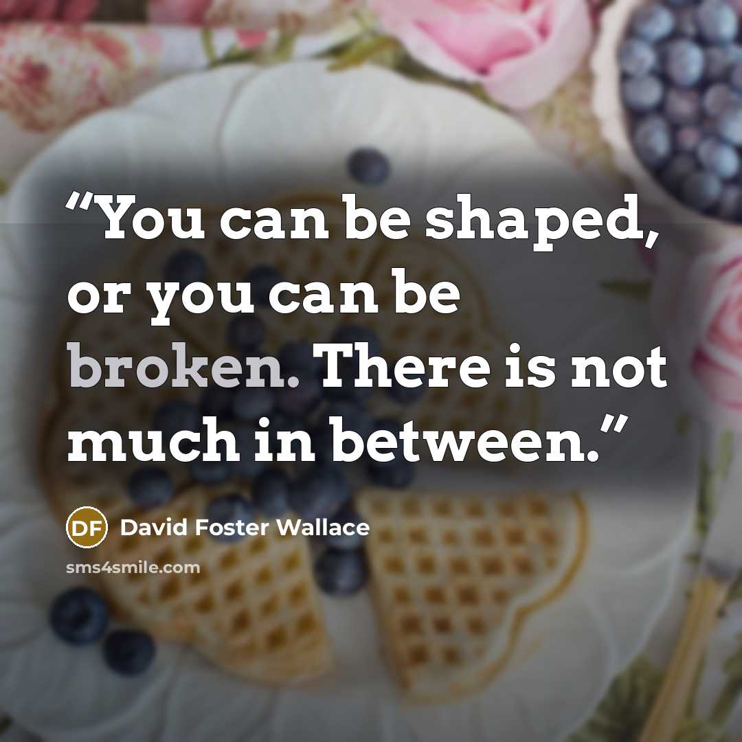 “You can be shaped, or you can be broken. There is not much in between.” quote by David Foster Wallace