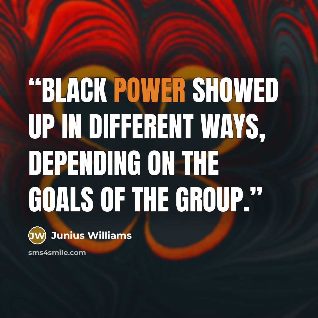 “Black power showed up in different ways, depending on the goals of the group.” quote by Junius Williams