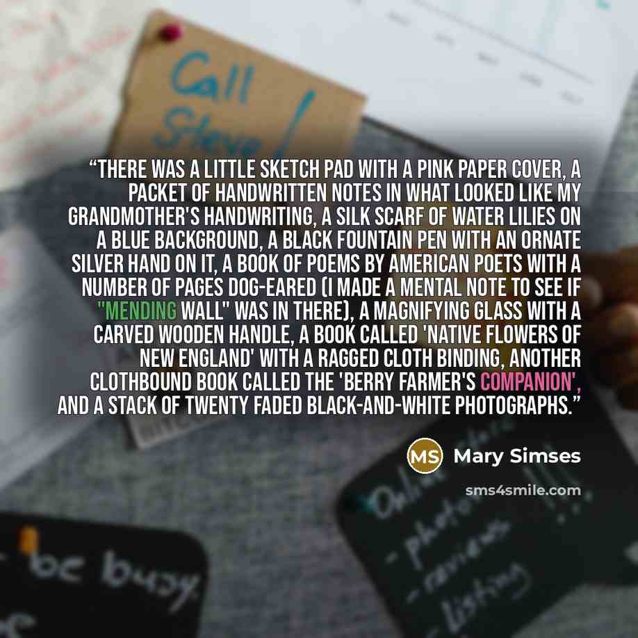 “There was a little sketch pad with a pink paper cover, a packet of handwritten notes in what looked like my grandmother's handwriting, a silk scarf of water lilies on a blue background, a black fountain pen with an ornate silver hand on it, a book of poems by American poets with a number of pages…” quote by Mary Simses