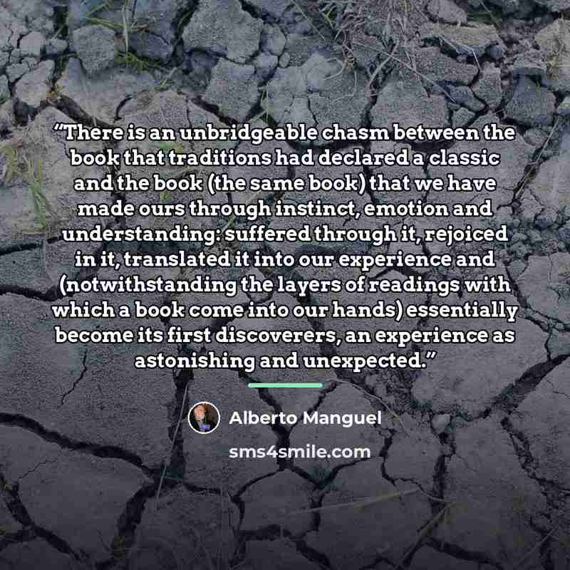 “There is an unbridgeable chasm between the book that traditions had declared a classic and the book (the same book) that we have made ours through instinct, emotion and understanding: suffered through it, rejoiced in it, translated it into our experience and (notwithstanding the layers of readings…” quote by Alberto Manguel