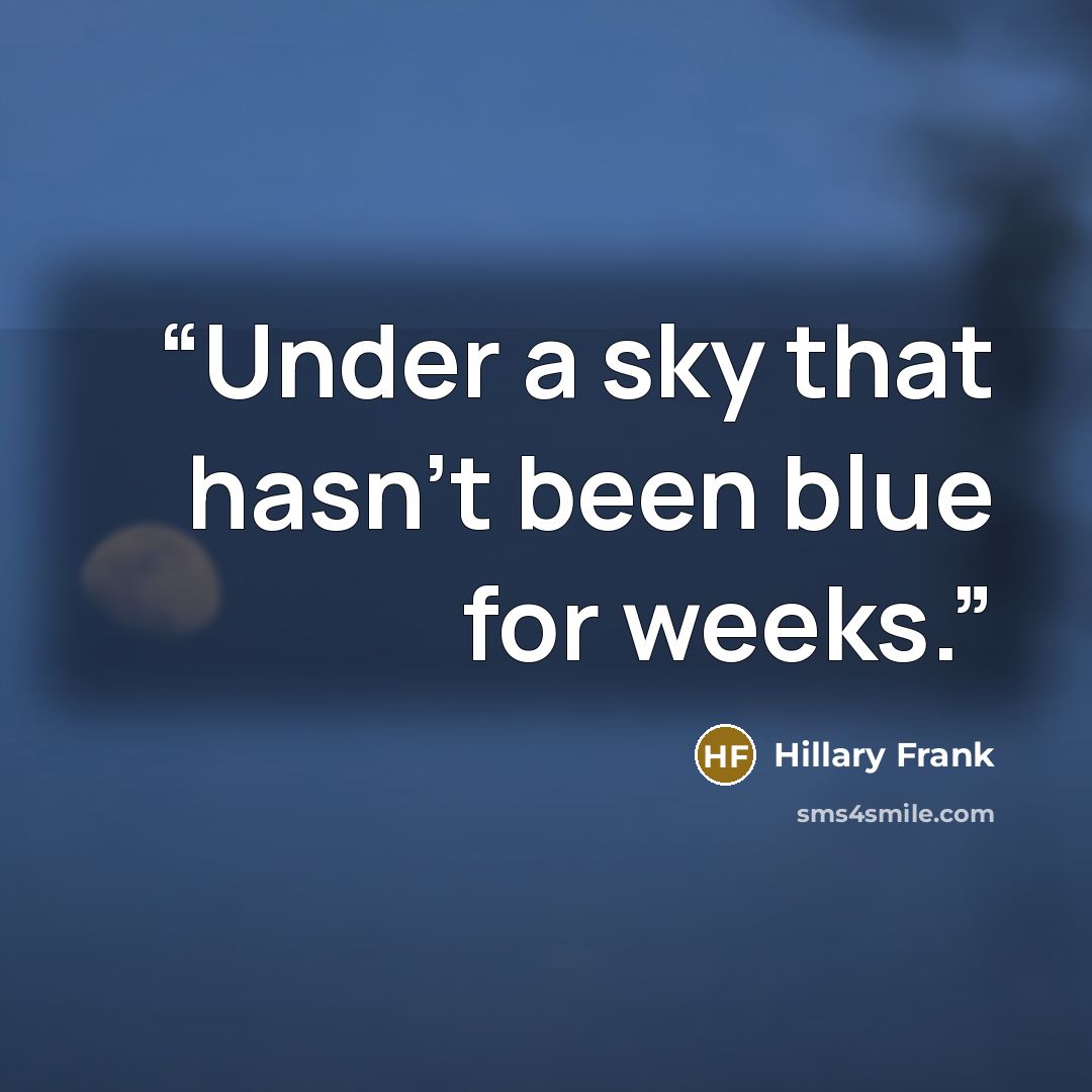 “Under a sky that hasn't been blue for weeks.” quote by Hillary Frank