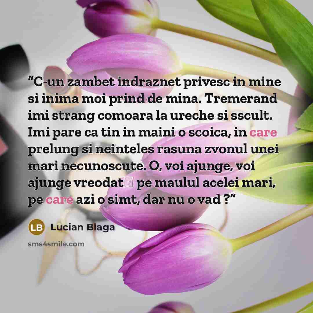 “C-un zambet indraznet privesc in mine si inima moi prind de mina. Tremerand imi strang comoara la ureche si sscult. Imi pare ca tin in maini o scoica, in care prelung si neinteles rasuna zvonul unei mari necunoscute. O, voi ajunge, voi ajunge vreodat� pe maulul acelei mari, pe care azi o simt, dar…” quote by Lucian Blaga