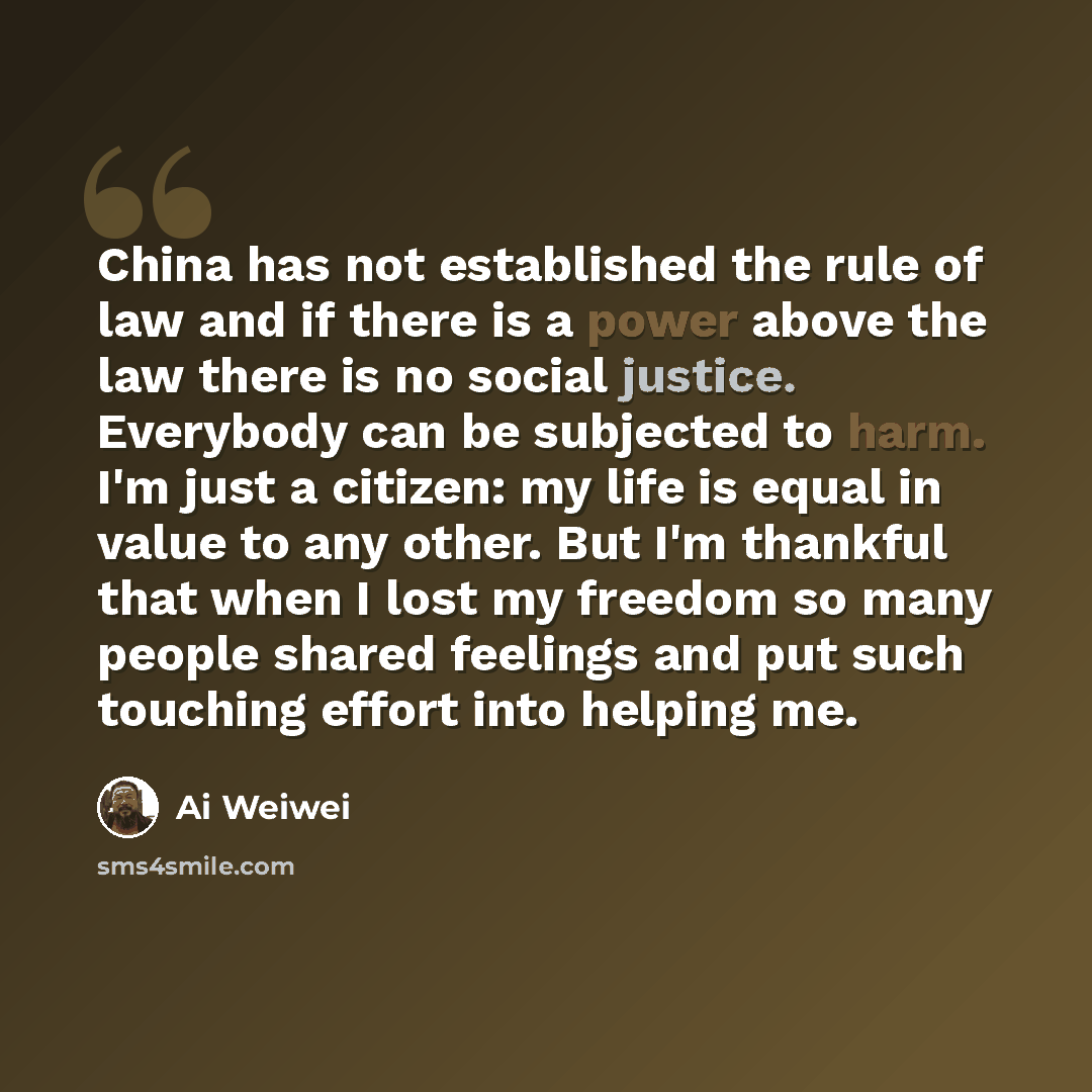 “China has not established the rule of law and if there is a power above the law there is no social justice. Everybody can be subjected to harm. I'm just a citizen: my life is equal in value to any other. But I'm thankful that when I lost my freedom so many people shared feelings and put such…” quote by Ai Weiwei