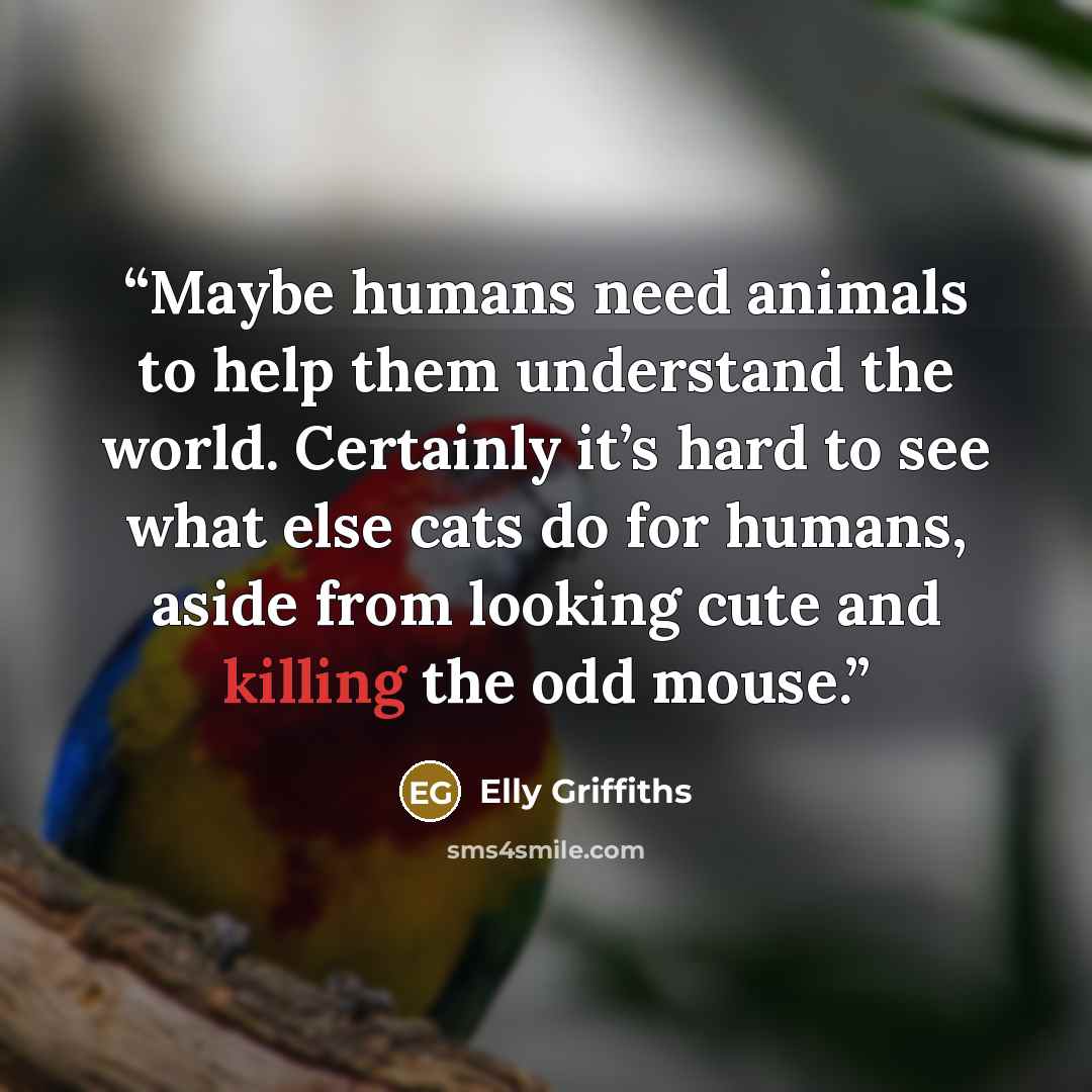 “Maybe humans need animals to help them understand the world. Certainly it’s hard to see what else cats do for humans, aside from looking cute and killing the odd mouse.” quote by Elly Griffiths