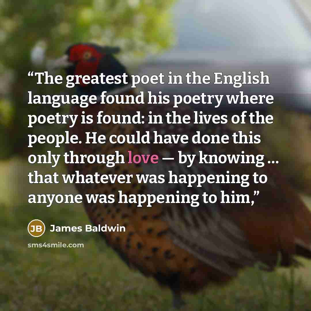 “The greatest poet in the English language found his poetry where poetry is found: in the lives of the people. He could have done this only through love — by knowing … that whatever was happening to anyone was happening to him,” quote by James Baldwin