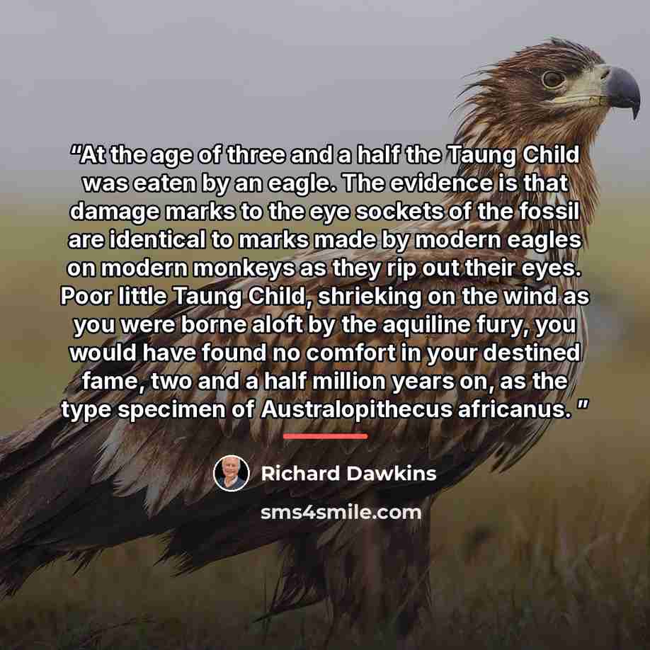 “At the age of three and a half the Taung Child was eaten by an eagle. The evidence is that damage marks to the eye sockets of the fossil are identical to marks made by modern eagles on modern monkeys as they rip out their eyes. Poor little Taung Child, shrieking on the wind as you were borne aloft…” quote by Richard Dawkins
