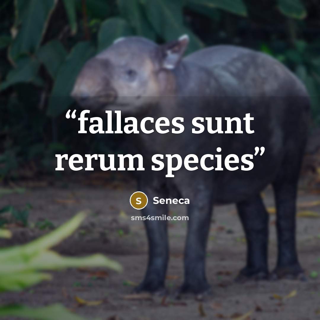“fallaces sunt rerum species” quote by Seneca