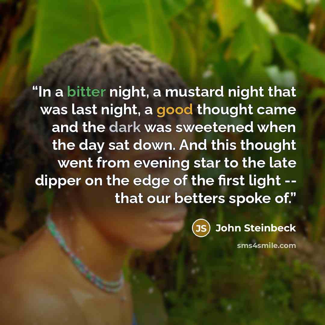 “In a bitter night, a mustard night that was last night, a good thought came and the dark was sweetened when the day sat down. And this thought went from evening star to the late dipper on the edge of the first light -- that our betters spoke of.” quote by John Steinbeck