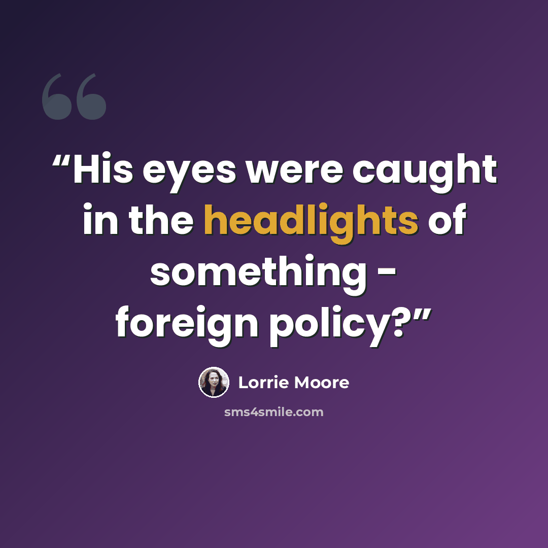 “His eyes were caught in the headlights of something - foreign policy?” quote by Lorrie Moore