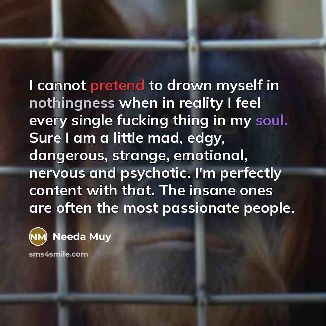“I cannot pretend to drown myself in nothingness when in reality I feel every single fucking thing in my soul. Sure I am a little mad, edgy, dangerous, strange, emotional, nervous and psychotic. I'm perfectly content with that. The insane ones are often the most passionate people.” quote by Needa Muy