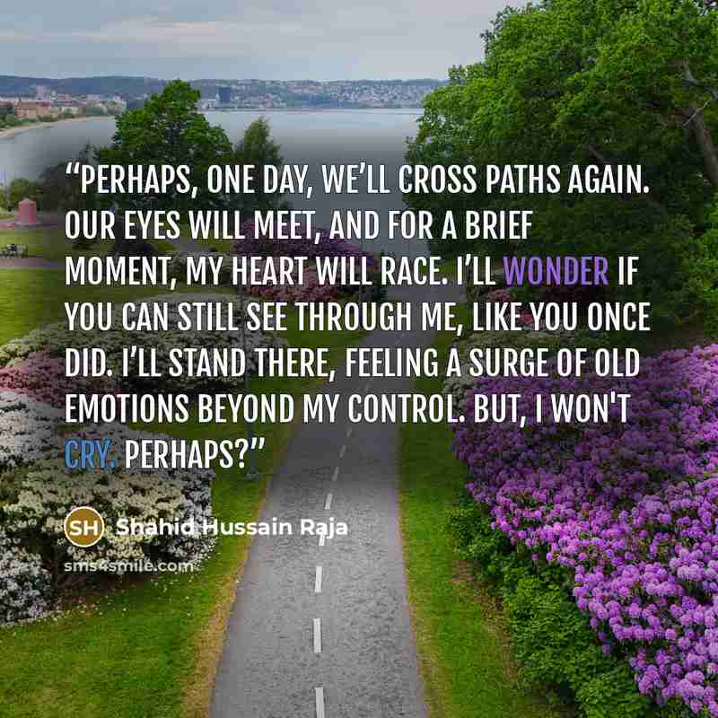 “Perhaps, One day, we’ll cross paths again. Our eyes will meet, And for a brief moment, my heart will race. I’ll wonder if you can still see through me, Like you once did. I’ll stand there, Feeling a surge of old emotions beyond my control. But, I won't cry. Perhaps?” quote by Shahid Hussain Raja