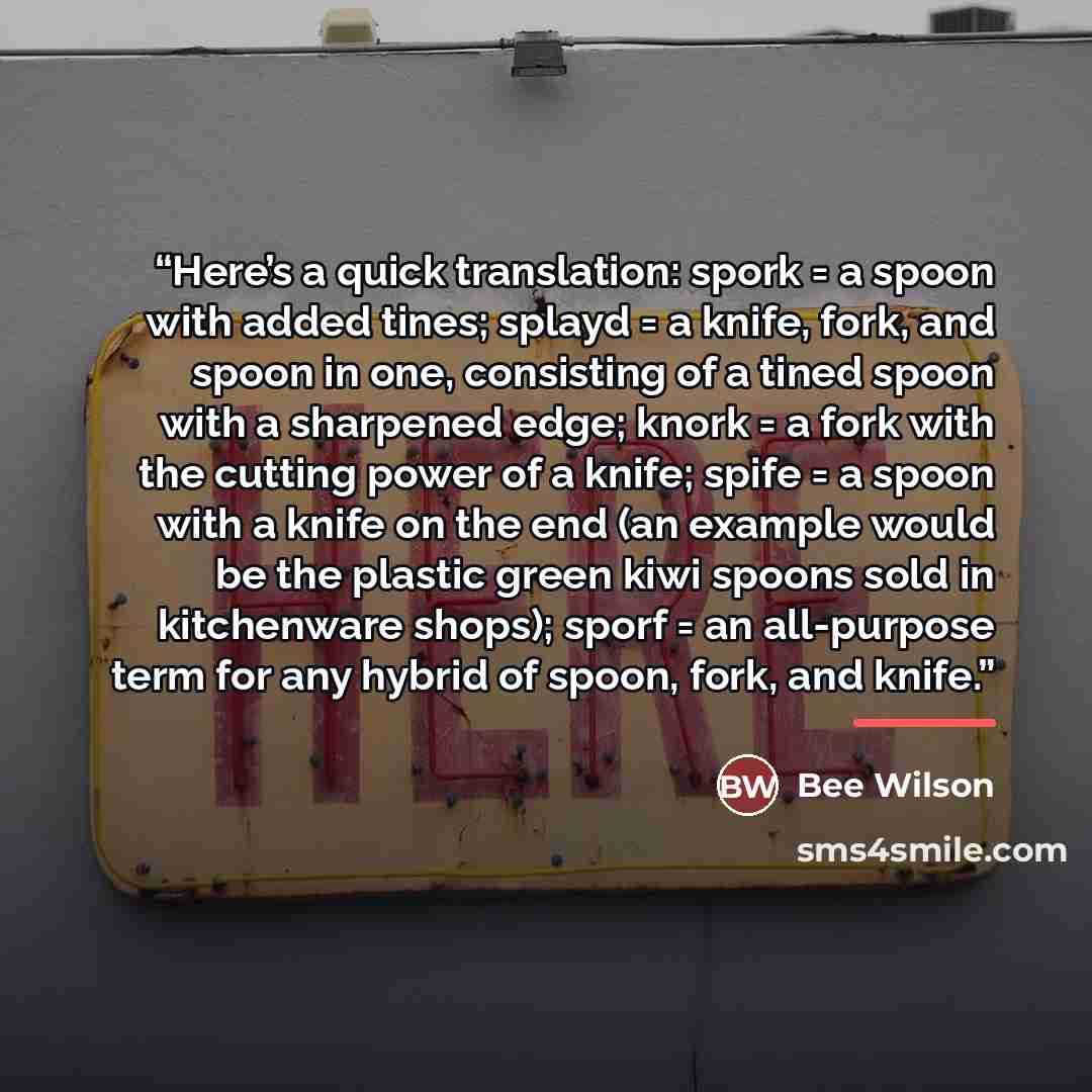 “Here’s a quick translation: spork = a spoon with added tines; splayd = a knife, fork, and spoon in one, consisting of a tined spoon with a sharpened edge; knork = a fork with the cutting power of a knife; spife = a spoon with a knife on the end (an example would be the plastic green kiwi spoons…” quote by Bee Wilson