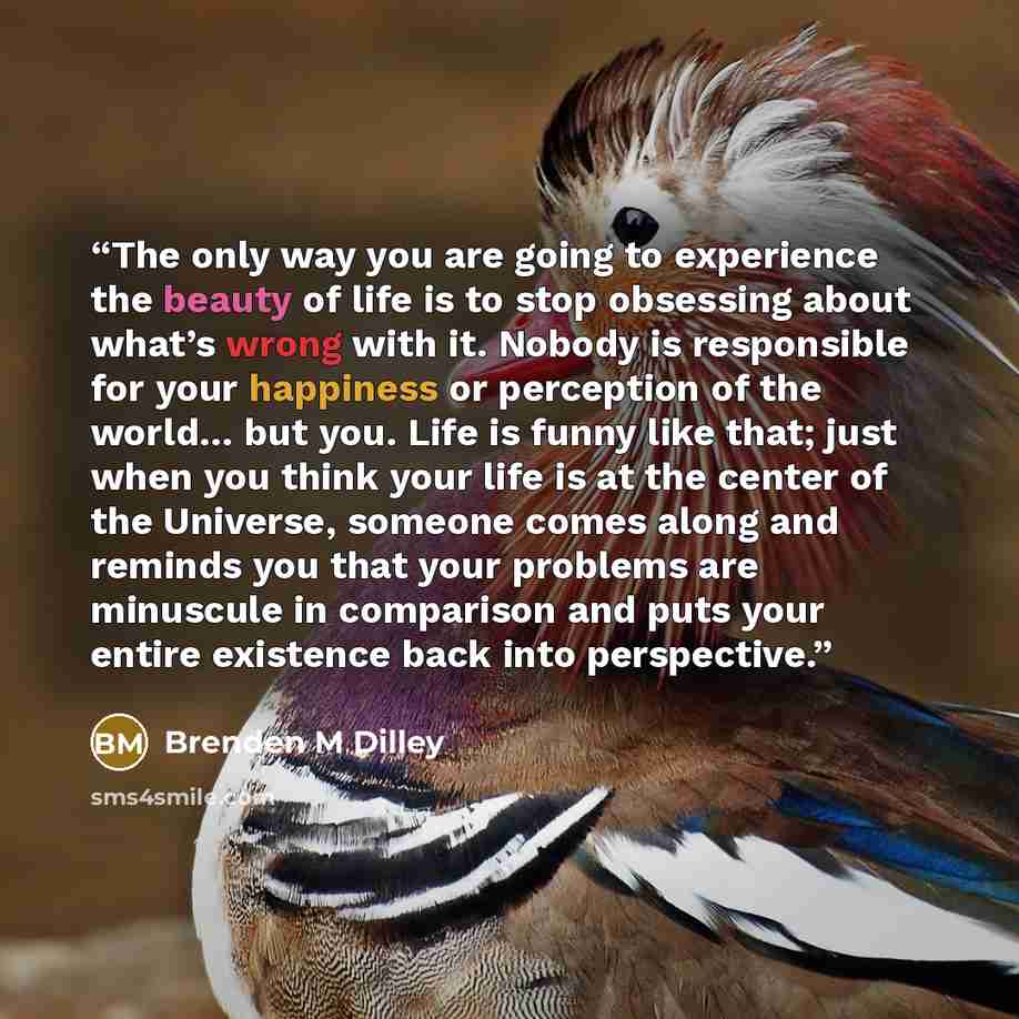 “The only way you are going to experience the beauty of life is to stop obsessing about what’s wrong with it. Nobody is responsible for your happiness or perception of the world… but you. Life is funny like that; just when you think your life is at the center of the Universe, someone comes along…” quote by Brenden M Dilley