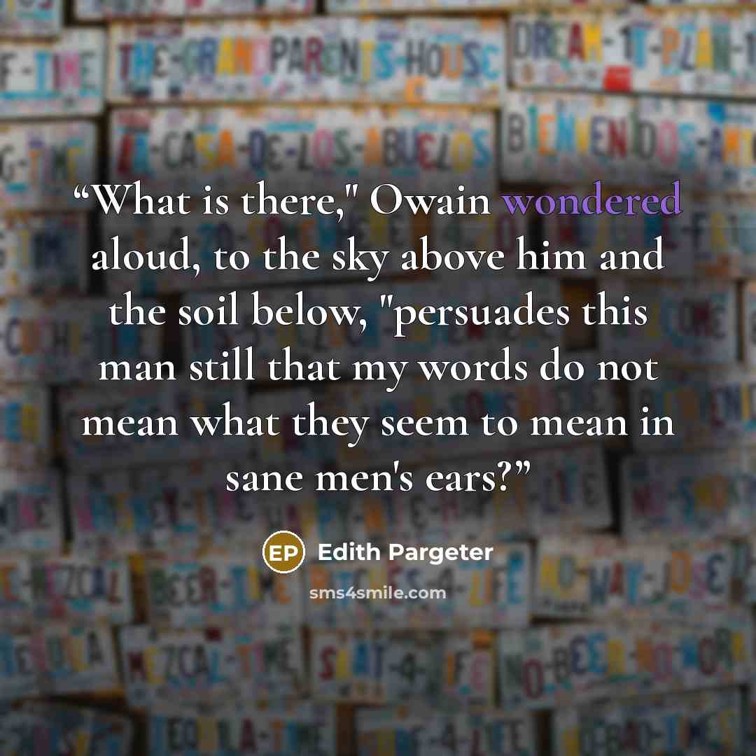 “What is there," Owain wondered aloud, to the sky above him and the soil below, "persuades this man still that my words do not mean what they seem to mean in sane men's ears?” quote by Edith Pargeter