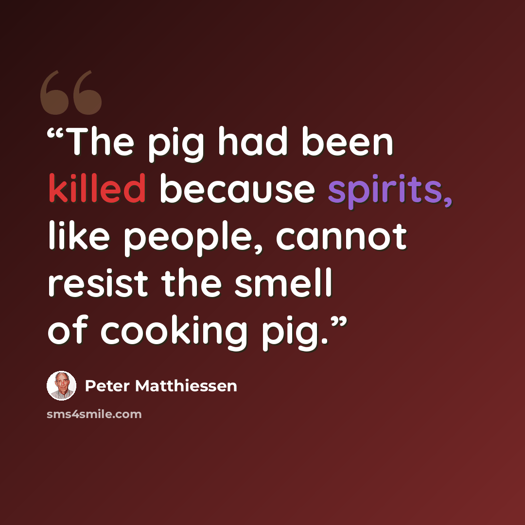 “The pig had been killed because spirits, like people, cannot resist the smell of cooking pig.” quote by Peter Matthiessen