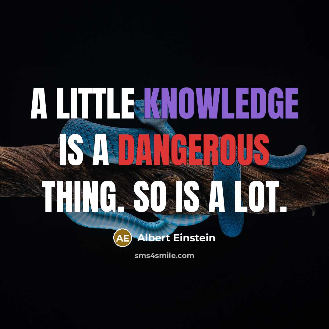 “A little knowledge is a dangerous thing. So is a lot.” quote by Albert Einstein