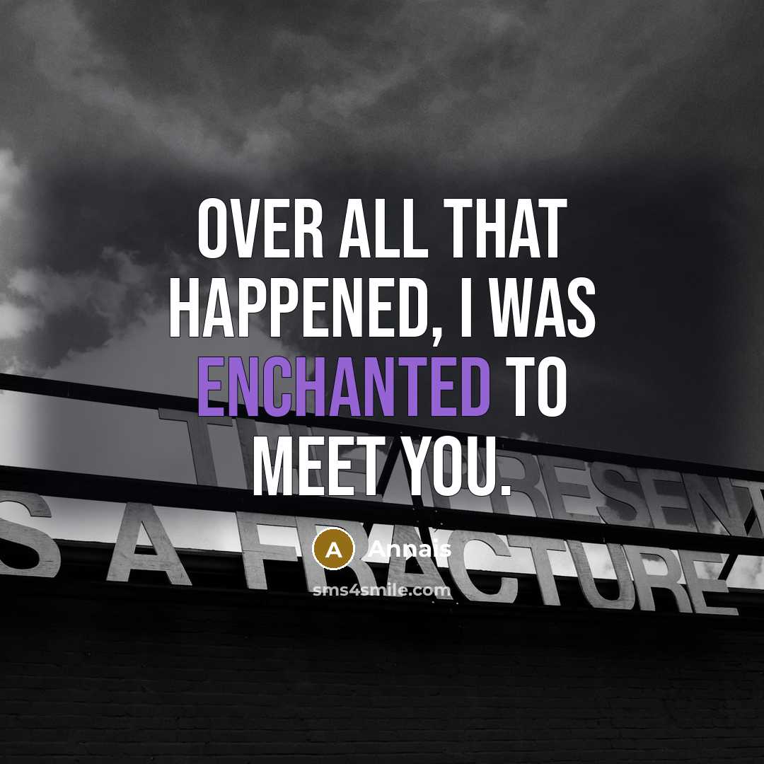 “Over all that happened, I was enchanted to meet you.” quote by Annais
