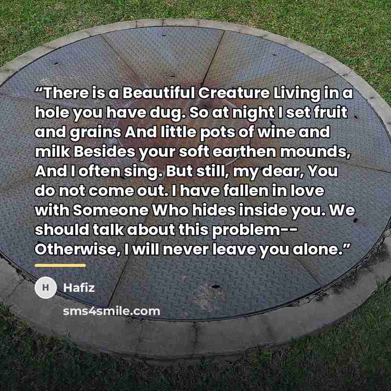 “There is a Beautiful Creature Living in a hole you have dug. So at night I set fruit and grains And little pots of wine and milk Besides your soft earthen mounds, And I often sing. But still, my dear, You do not come out. I have fallen in love with Someone Who hides inside you. We should talk…” quote by Hafiz