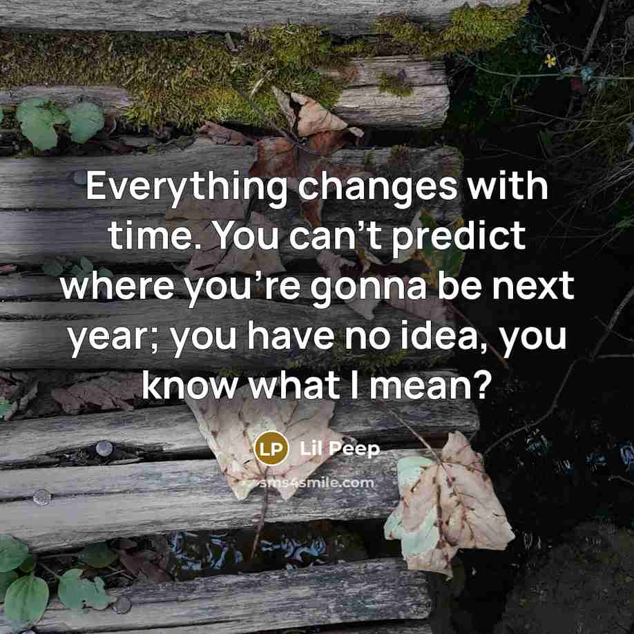“Everything changes with time. You can't predict where you're gonna be next year; you have no idea, you know what I mean?” quote by Lil Peep