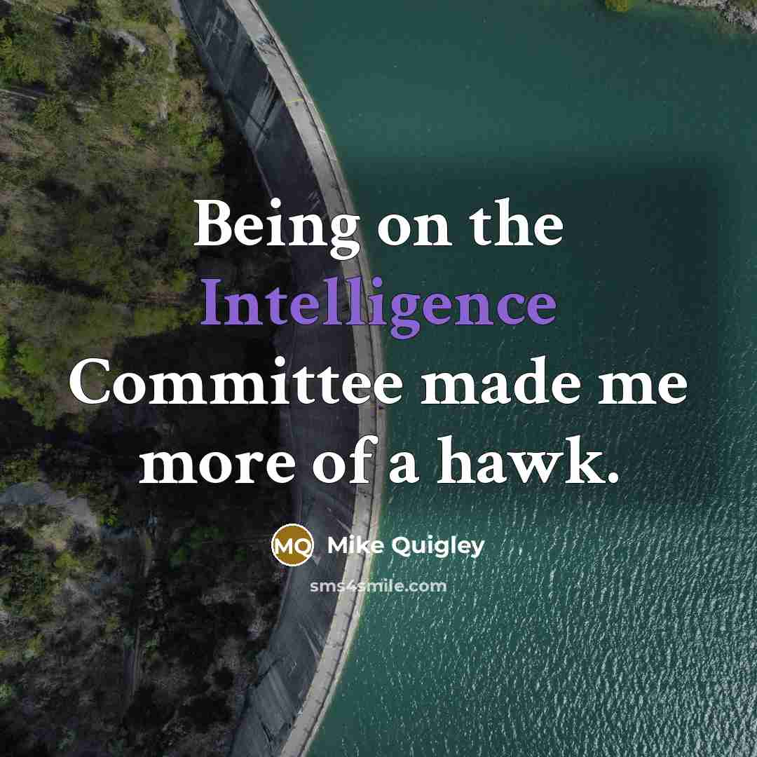 “Being on the Intelligence Committee made me more of a hawk.” quote by Mike Quigley