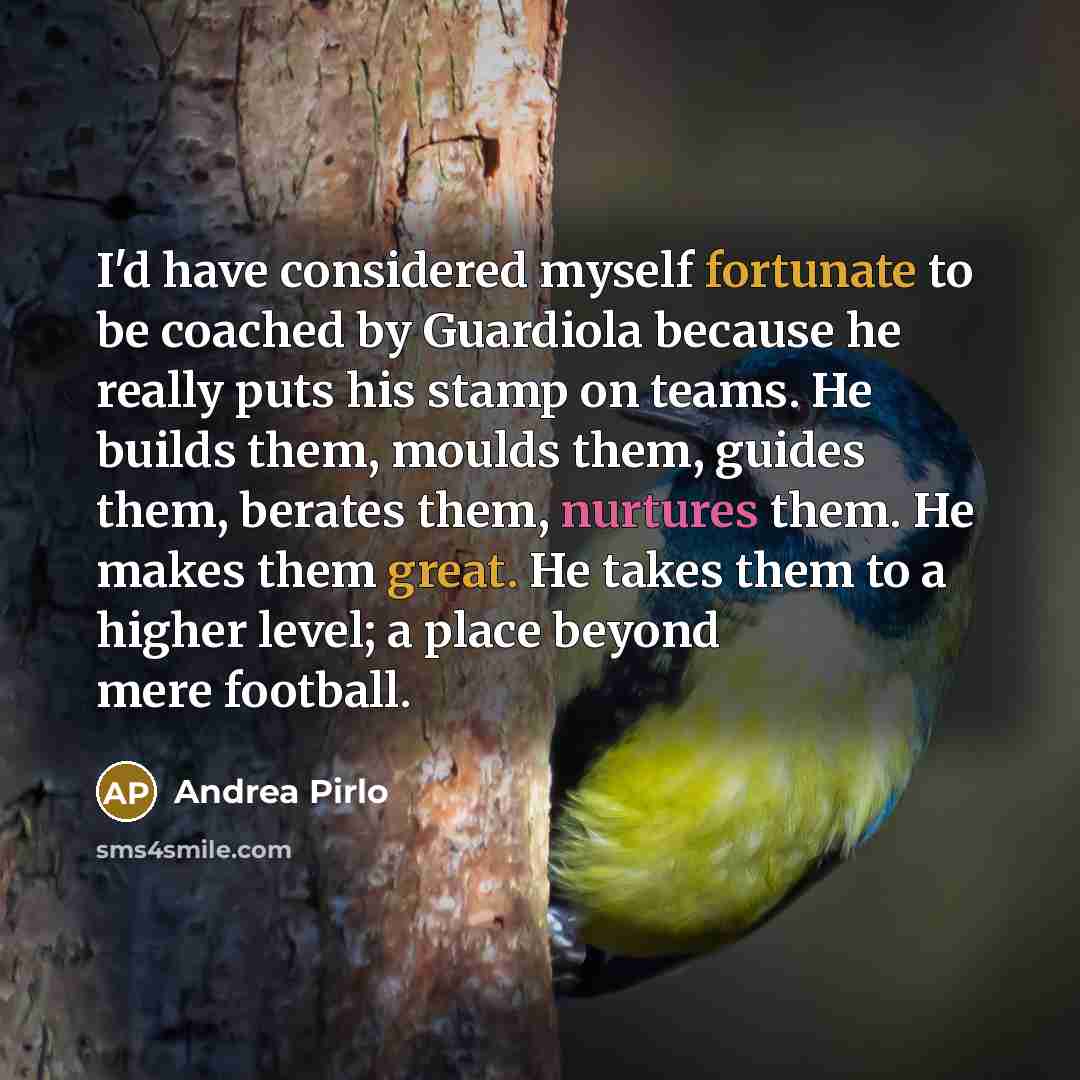 “I'd have considered myself fortunate to be coached by Guardiola because he really puts his stamp on teams. He builds them, moulds them, guides them, berates them, nurtures them. He makes them great. He takes them to a higher level; a place beyond mere football.” quote by Andrea Pirlo