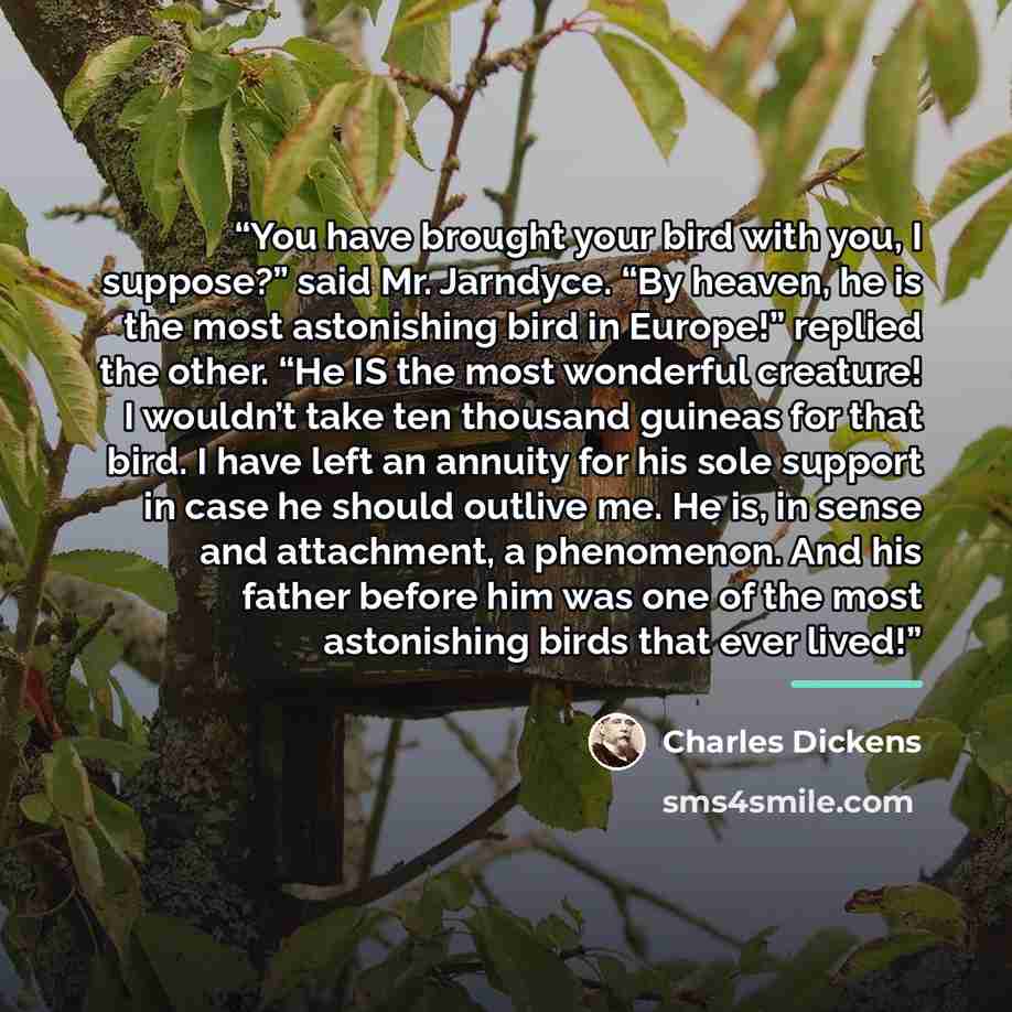 “You have brought your bird with you, I suppose?” said Mr. Jarndyce. “By heaven, he is the most astonishing bird in Europe!” replied the other. “He IS the most wonderful creature! I wouldn’t take ten thousand guineas for that bird. I have left an annuity for his sole support in case he should…” quote by Charles Dickens