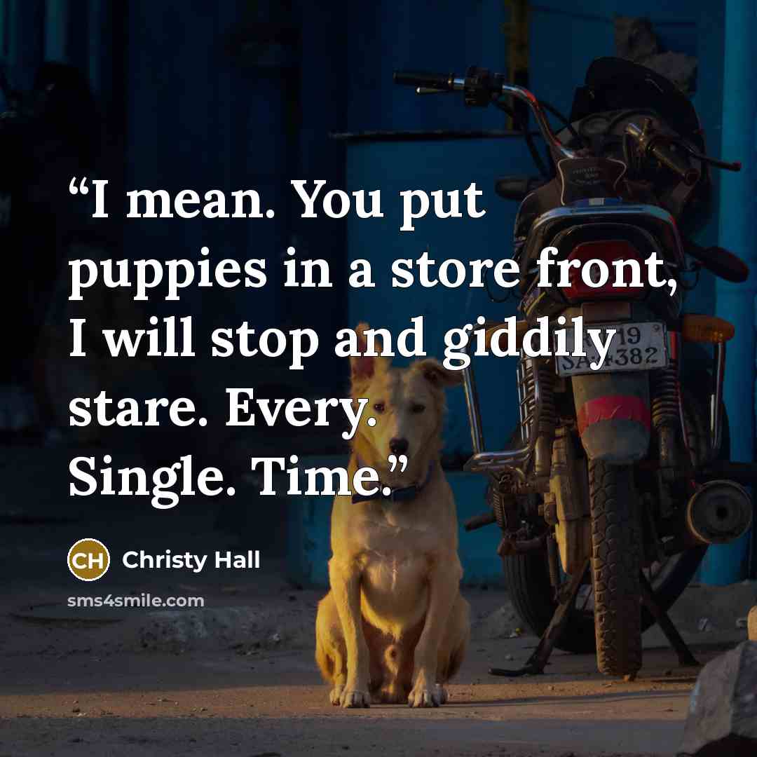 “I mean. You put puppies in a store front, I will stop and giddily stare. Every. Single. Time.” quote by Christy Hall
