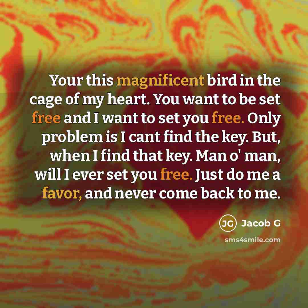 “Your this magnificent bird in the cage of my heart. You want to be set free and I want to set you free. Only problem is I cant find the key. But, when I find that key. Man o' man, will I ever set you free. Just do me a favor, and never come back to me.” quote by Jacob G