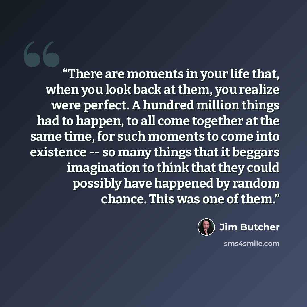 “There are moments in your life that, when you look back at them, you realize were perfect. A hundred million things had to happen, to all come together at the same time, for such moments to come into existence -- so many things that it beggars imagination to think that they could possibly have…” quote by Jim Butcher