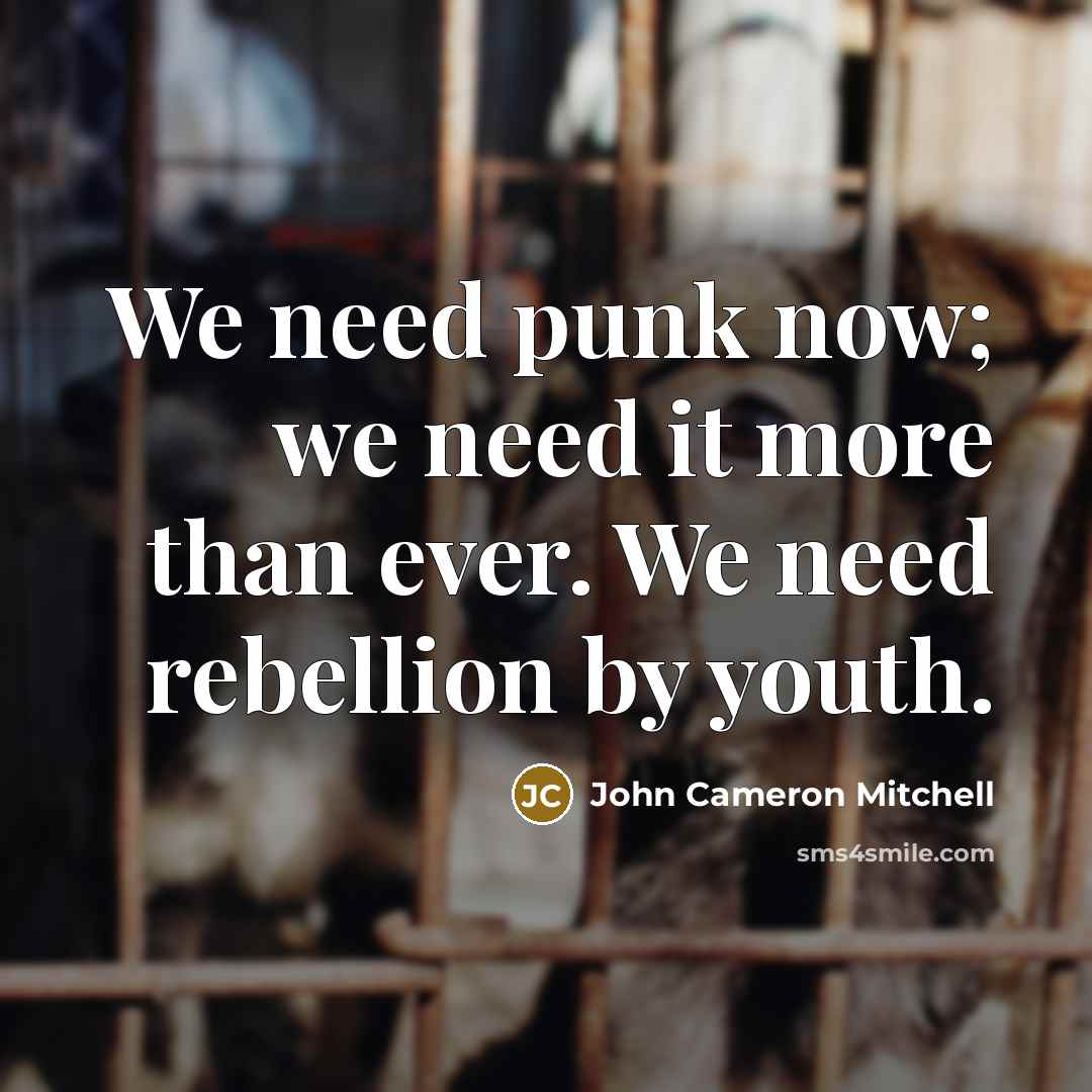 “We need punk now; we need it more than ever. We need rebellion by youth.” quote by John Cameron Mitchell
