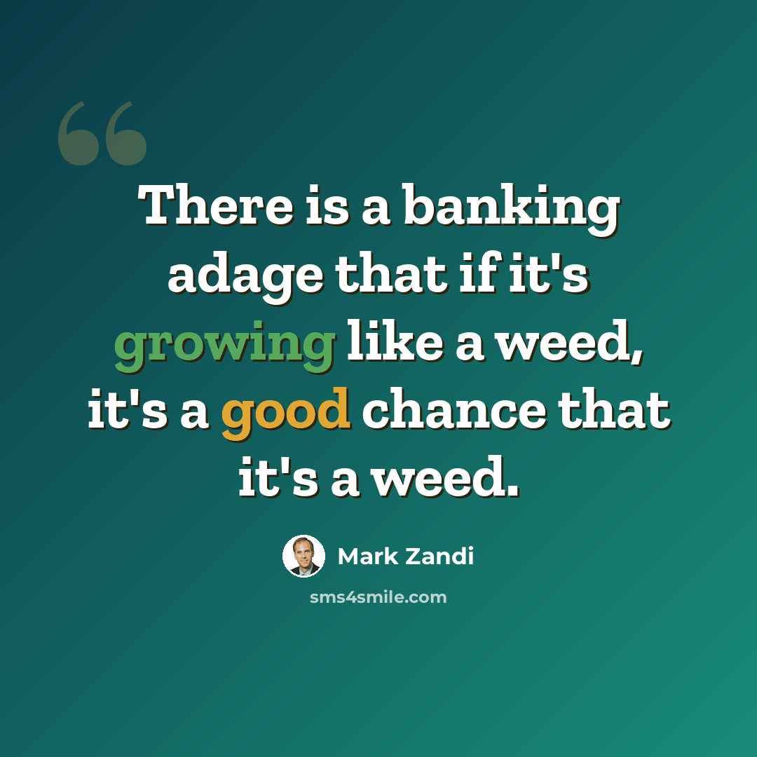 “There is a banking adage that if it's growing like a weed, it's a good chance that it's a weed.” quote by Mark Zandi