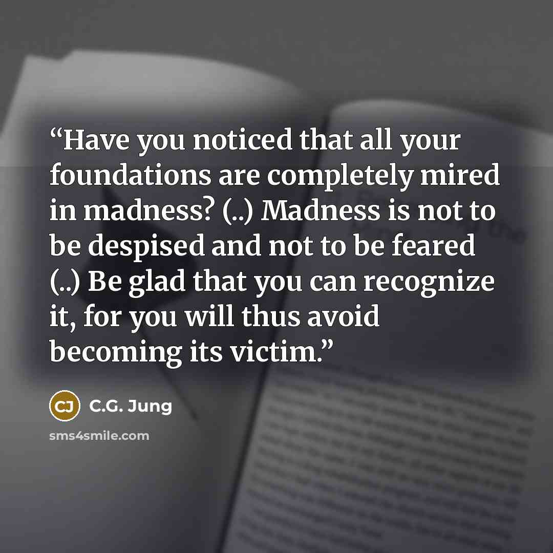 “Have you noticed that all your foundations are completely mired in madness? (..) Madness is not to be despised and not to be feared (..) Be glad that you can recognize it, for you will thus avoid becoming its victim.” quote by C.G. Jung