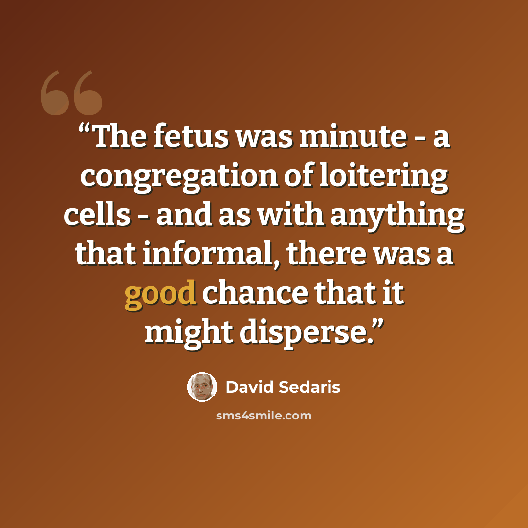“The fetus was minute - a congregation of loitering cells - and as with anything that informal, there was a good chance that it might disperse.” quote by David Sedaris