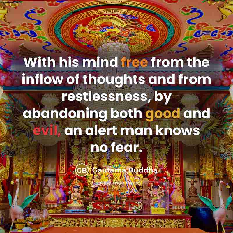 “With his mind free from the inflow of thoughts and from restlessness, by abandoning both good and evil, an alert man knows no fear.” quote by Gautama Buddha