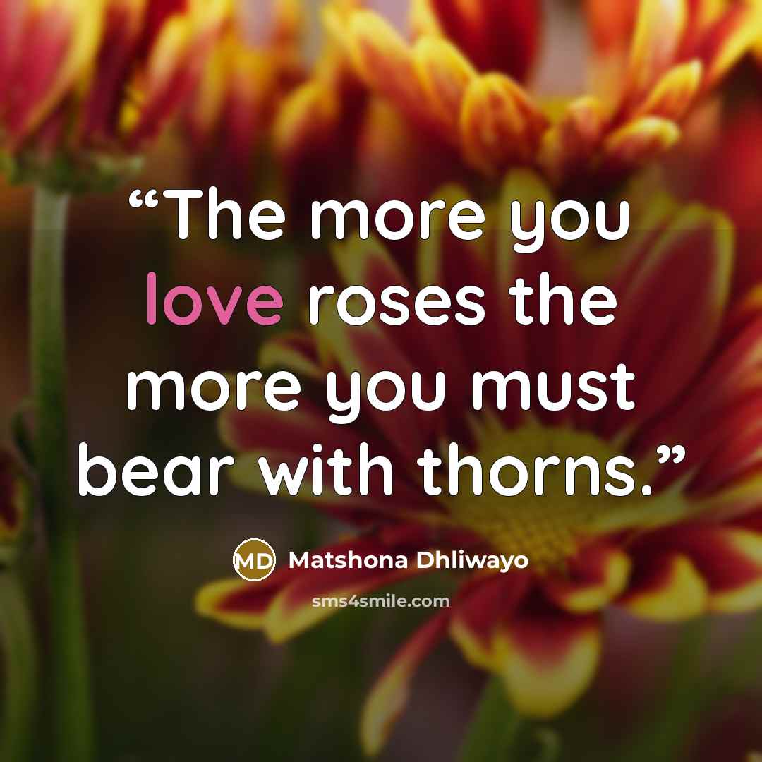 “The more you love roses the more you must bear with thorns.” quote by Matshona Dhliwayo