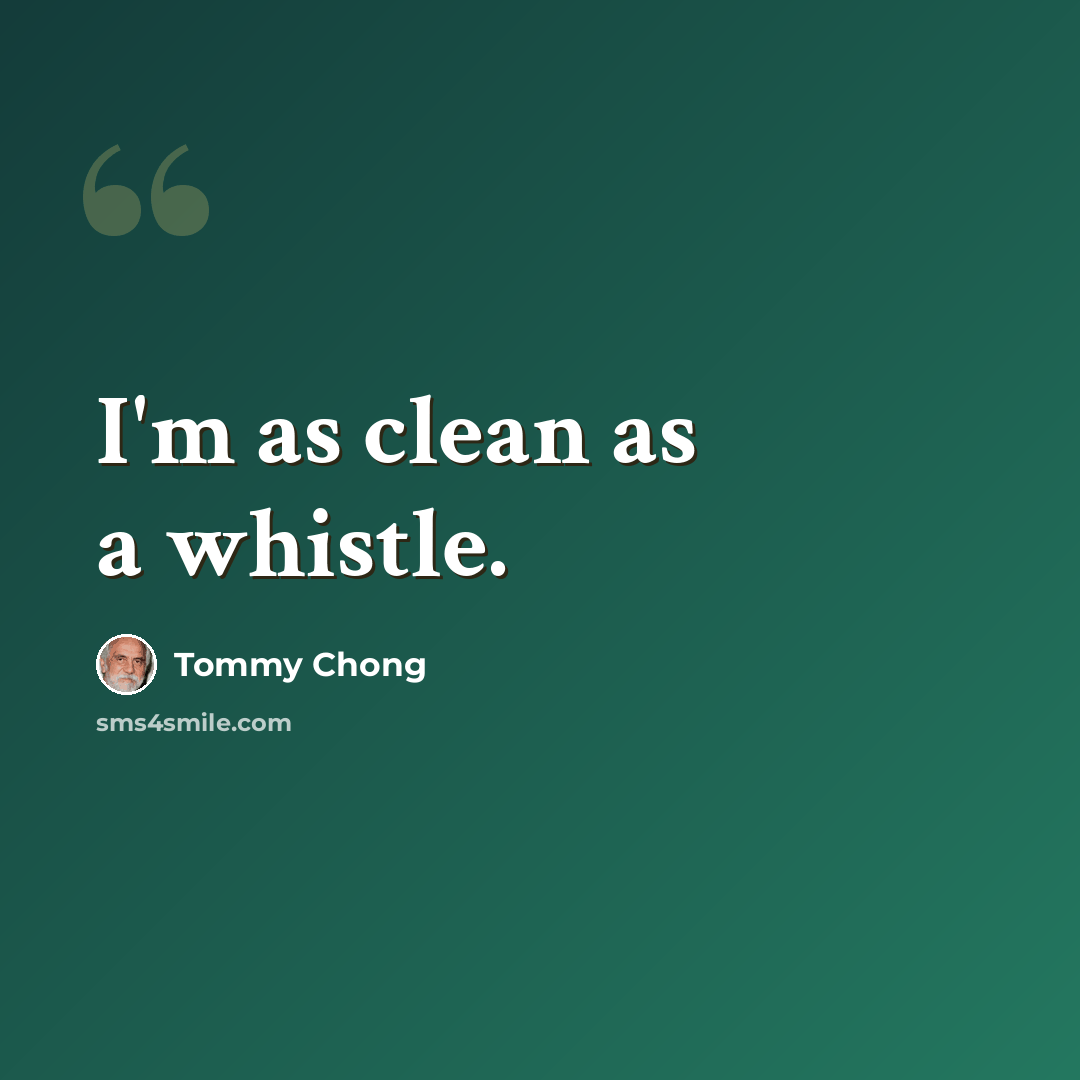 “I'm as clean as a whistle.” quote by Tommy Chong